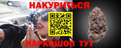 прущие грибы Кандалакша