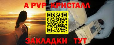 прущие грибы Кандалакша