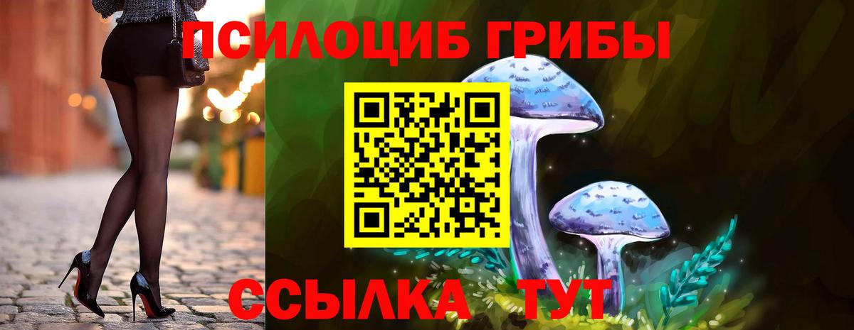 Псилоцибиновые грибы Cubensis Луховицы